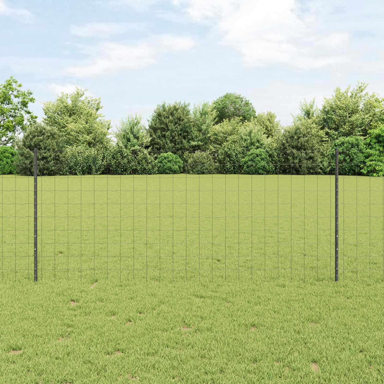 Zavarena žičana ograda 25 x 1 m (Š x V) Čelik premazan PVC-om