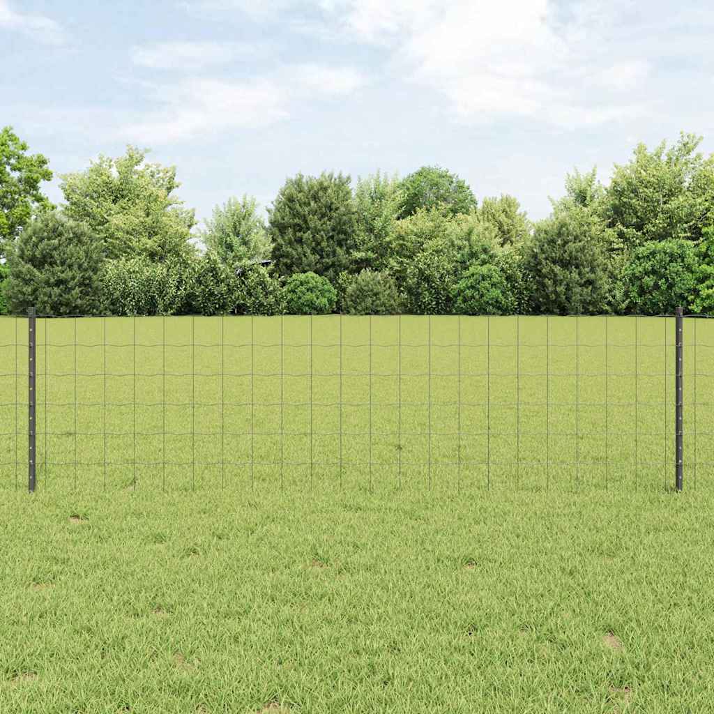 Euro ograda s postom 50 x 0,6 m Čelik premazan PVC-om Siva