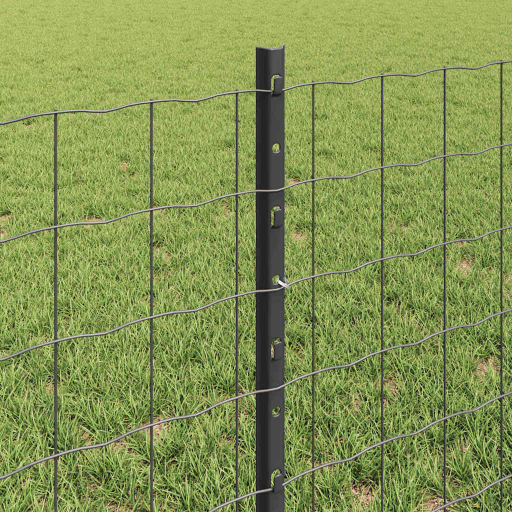 Zavarena žičana ograda 10 x 0,6 m (Š x V) Čelik premazan PVC-om