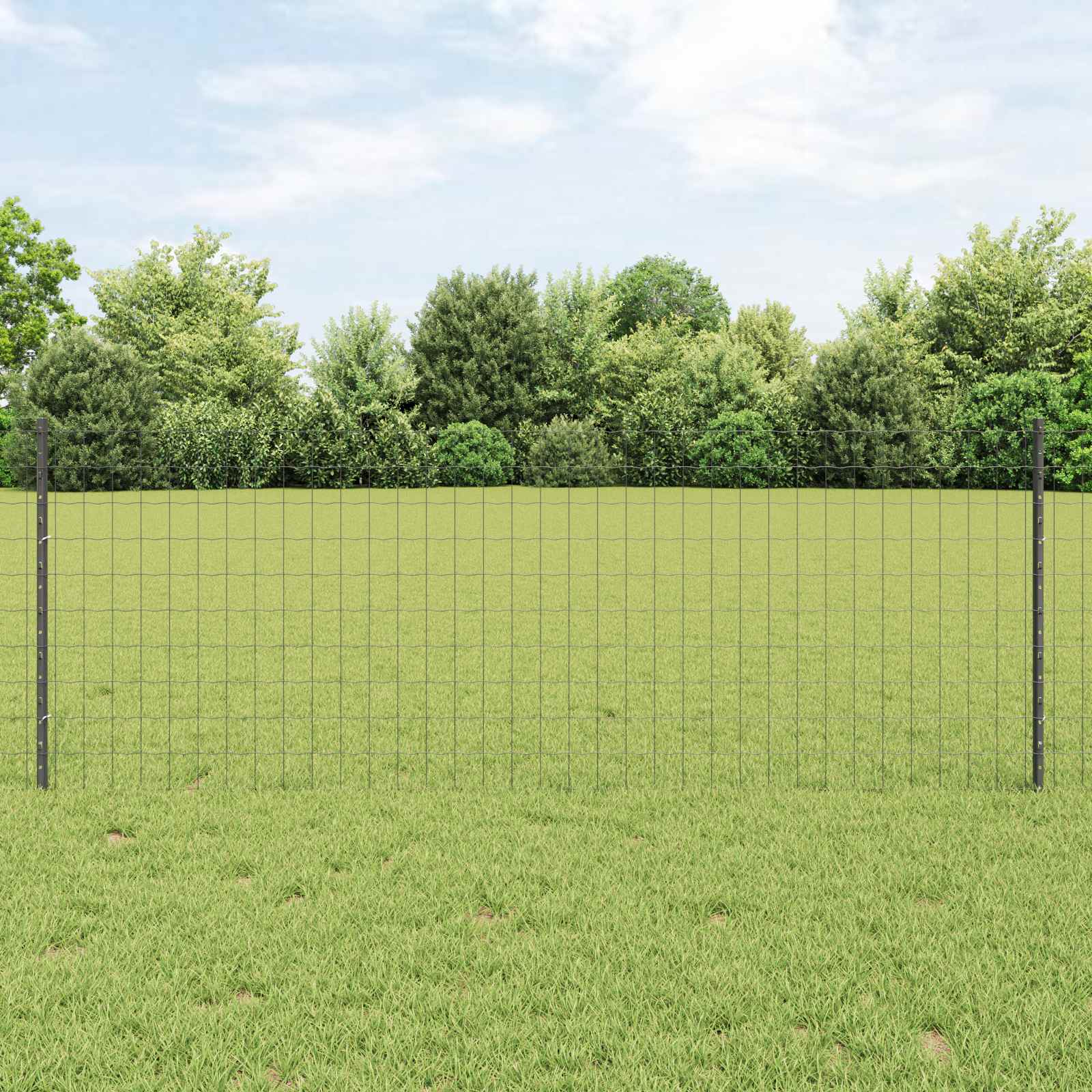 Zavarena žičana ograda 25 x 0,8 m (Š x V) Čelik premazan PVC-om