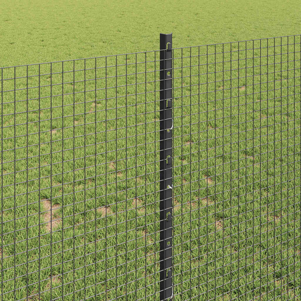 Zavarena žičana ograda s postom 50 x 1 m Čelik premazan PVC-om