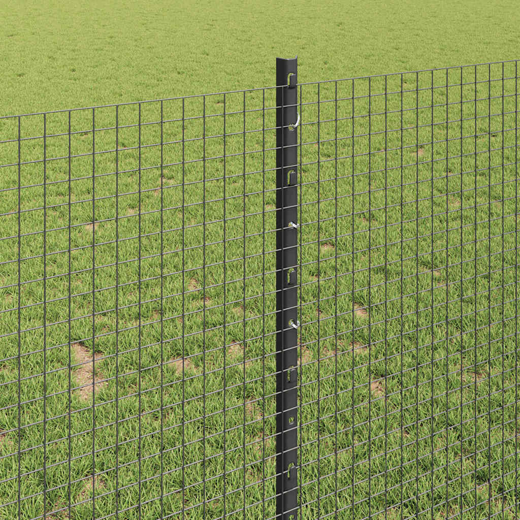 Zavarena žičana ograda s postom 50 x 1 m Čelik premazan PVC-om
