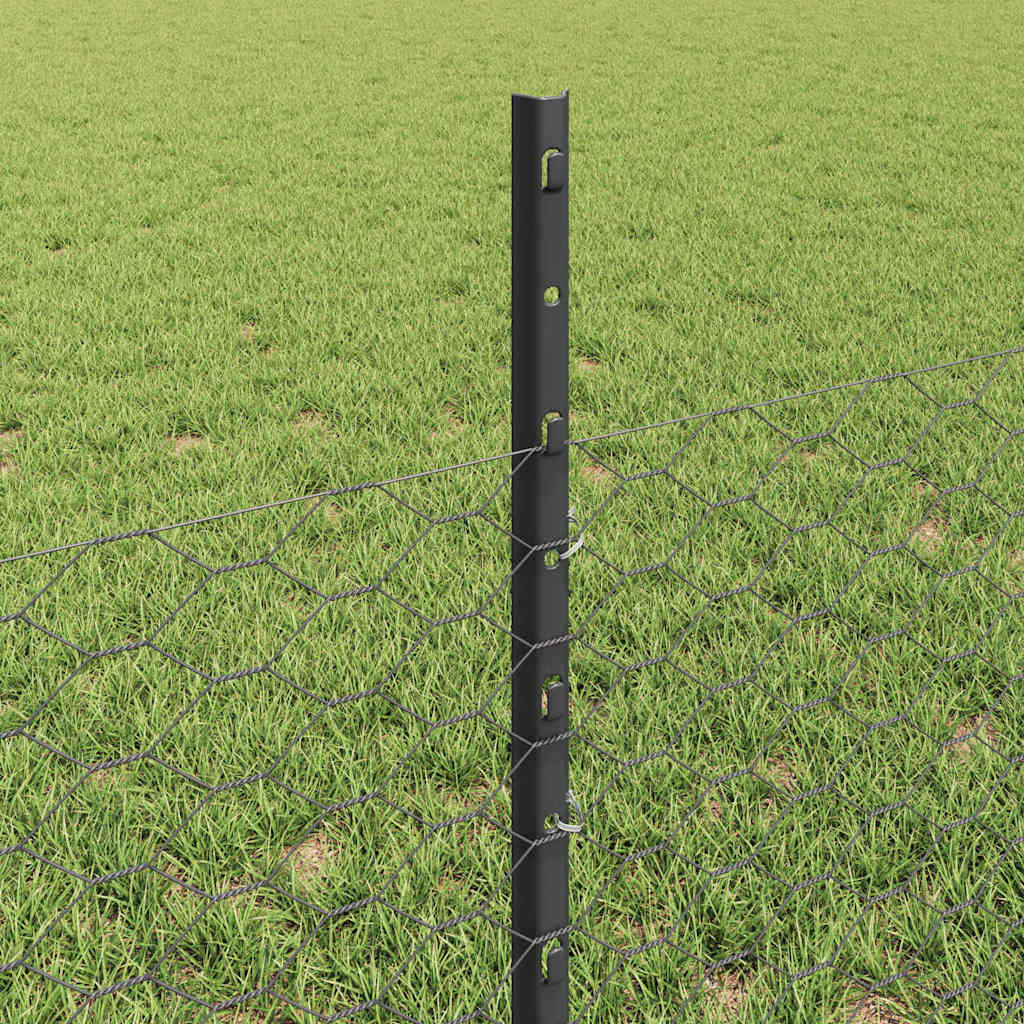 Heksagonalna ograda s stubom 10 x 0,5 m Čelik premazan PVC-om