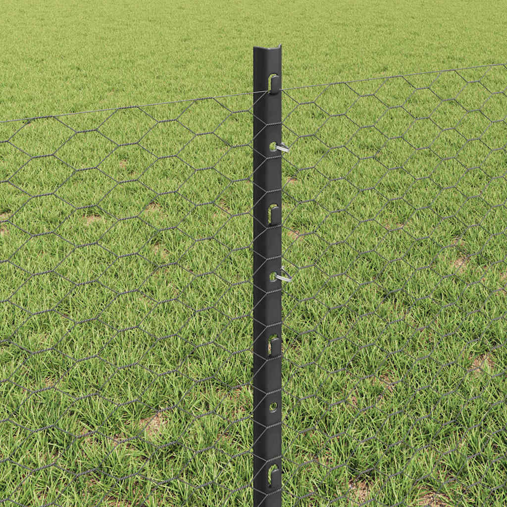 Zavarena žičana ograda 10 x 0,6 m (Š x V) Čelik premazan PVC-om