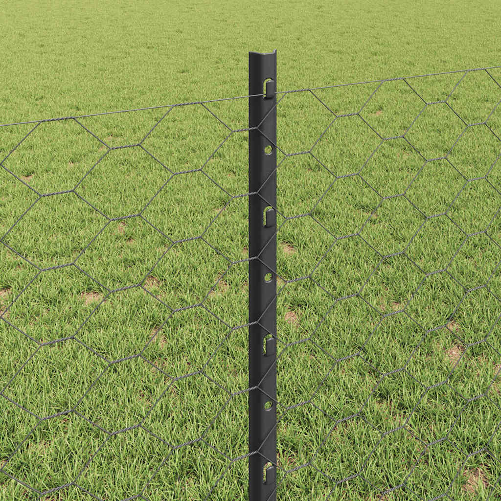 Zavarena žičana ograda 25 x 0,8 m (Š x V) Čelik premazan PVC-om