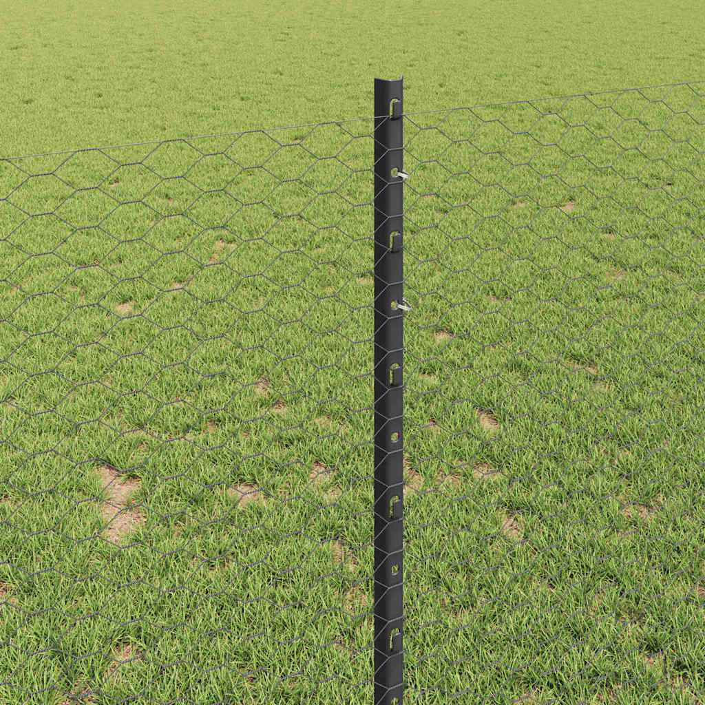 Zavarena žičana ograda 25 x 1 m (Š x V) Čelik premazan PVC-om