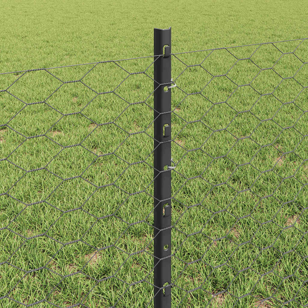 Heksagonalna ograda s stubom 50 x 0,6 m Čelik premazan PVC-om