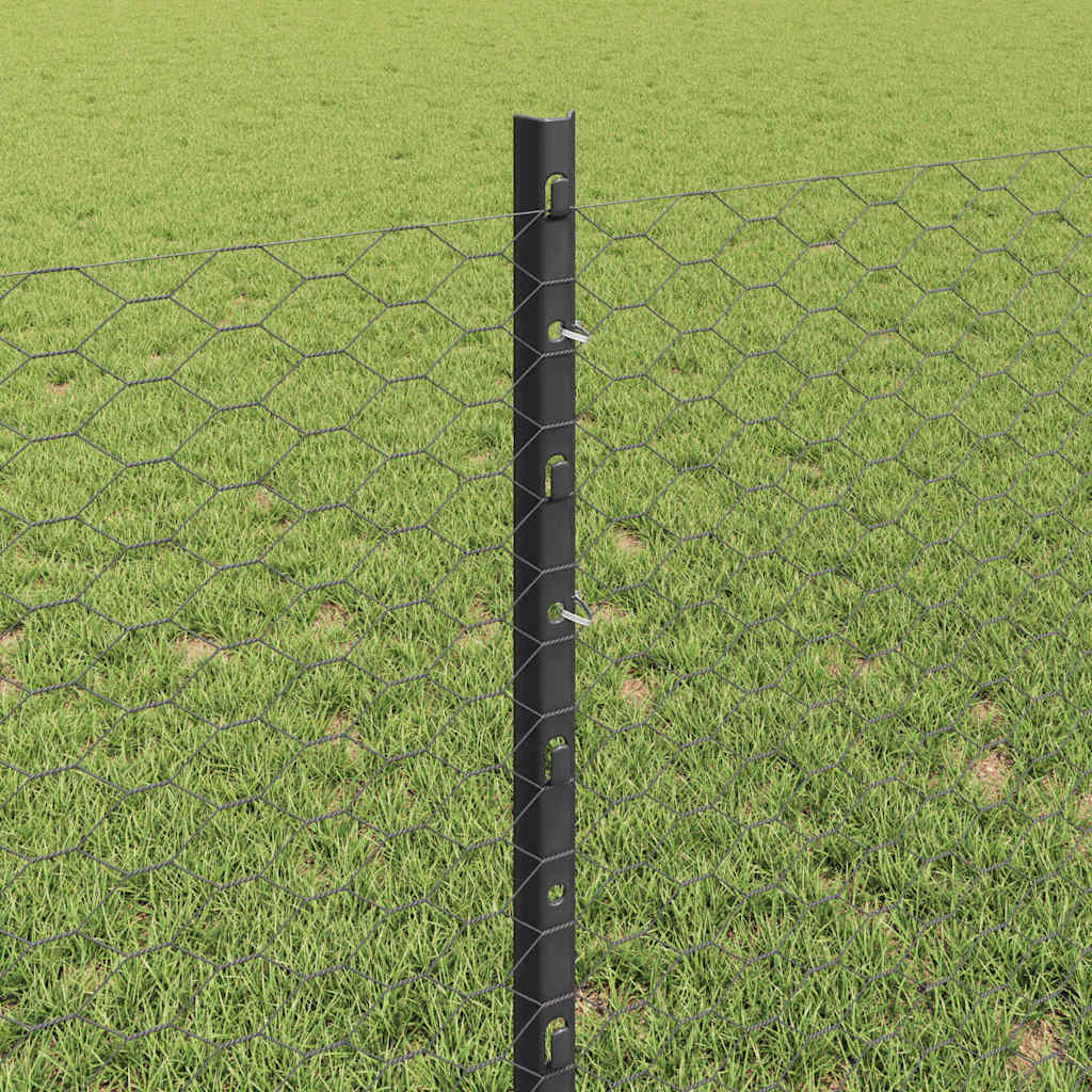 Zavarena žičana ograda 50 x 0,8 m (Š x V) Čelik premazan PVC-om
