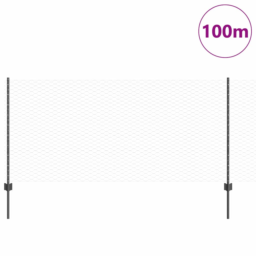 Zavarena žičana ograda 100 x 1 m (Š x V) Čelik premazan PVC-om