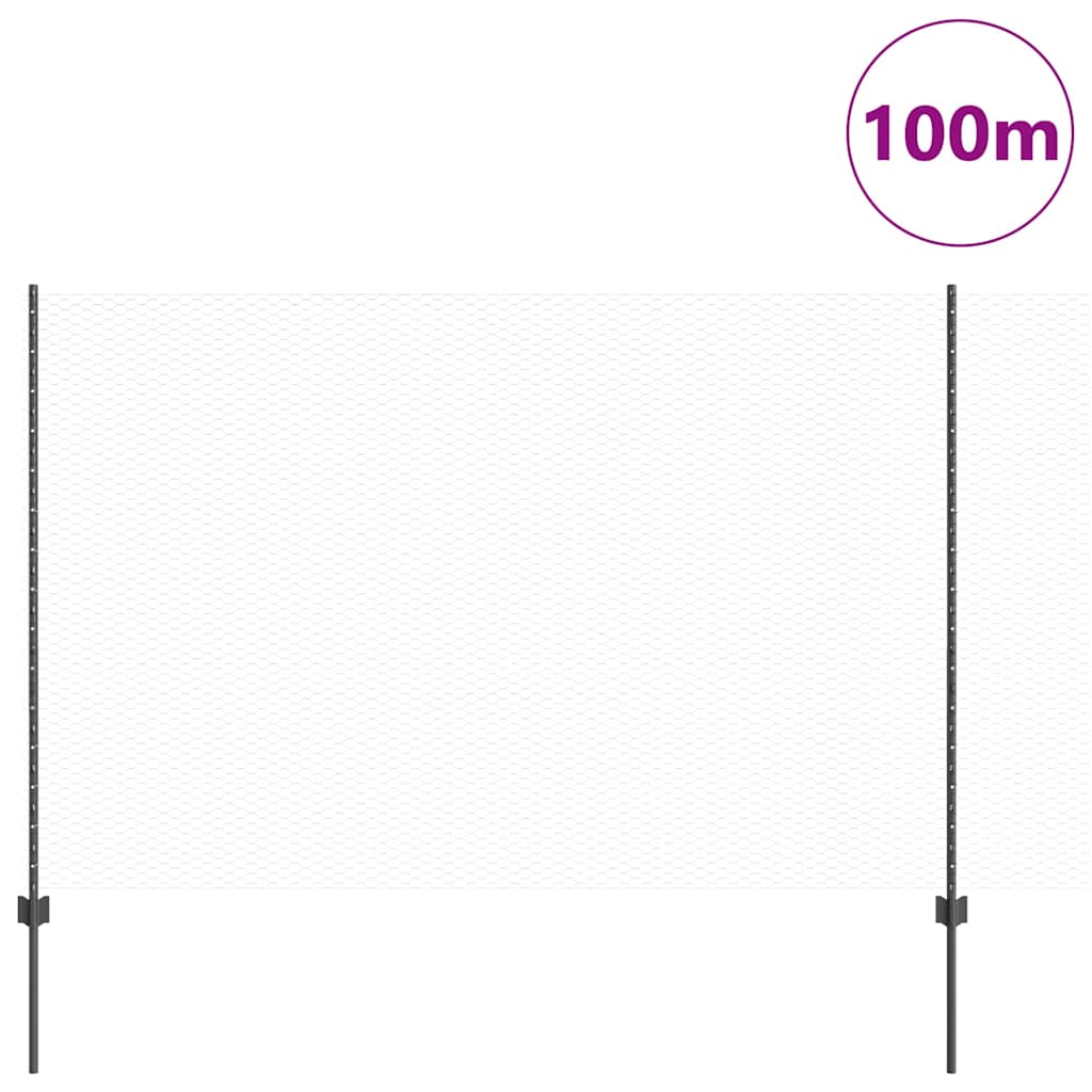 Zavarena žičana ograda 100 x 1,6 m (Š x V)