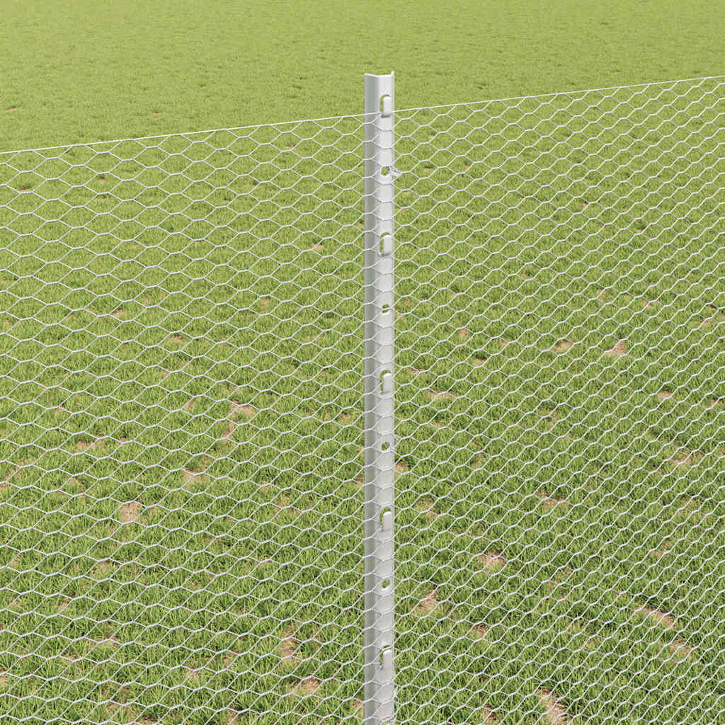 Zavarena žičana ograda 10 x 1,4 m (Š x V) Vruće pocinčani čelik