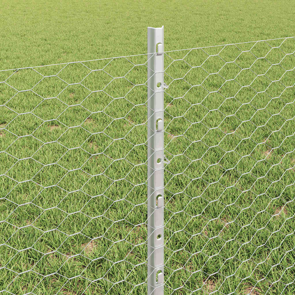 Zavarena žičana ograda 50 x 0,6 m (Š x V) Vruće pocinčani čelik