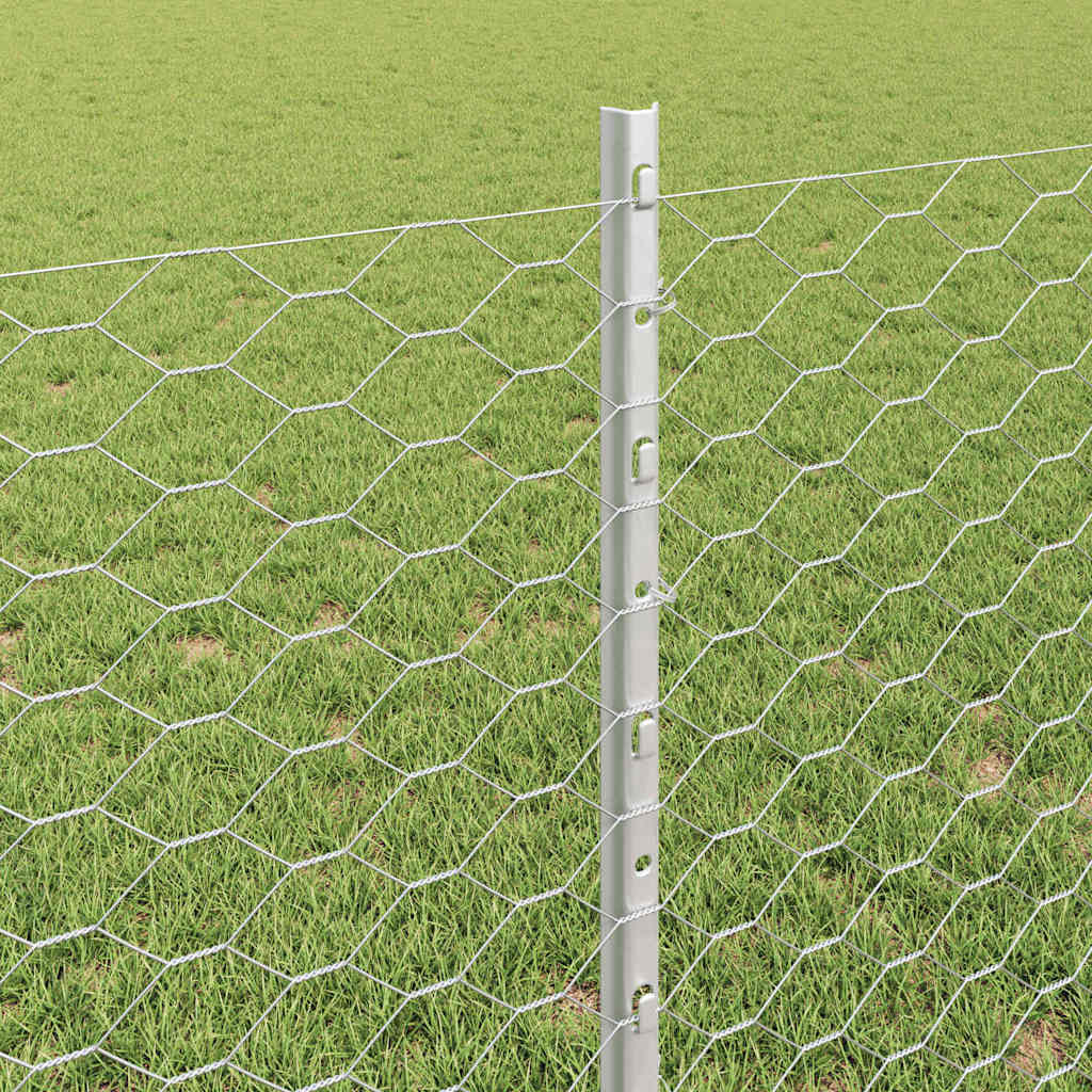 Zavarena žičana ograda 50 x 0,8 m (Š x V) Vruće pocinčani čelik