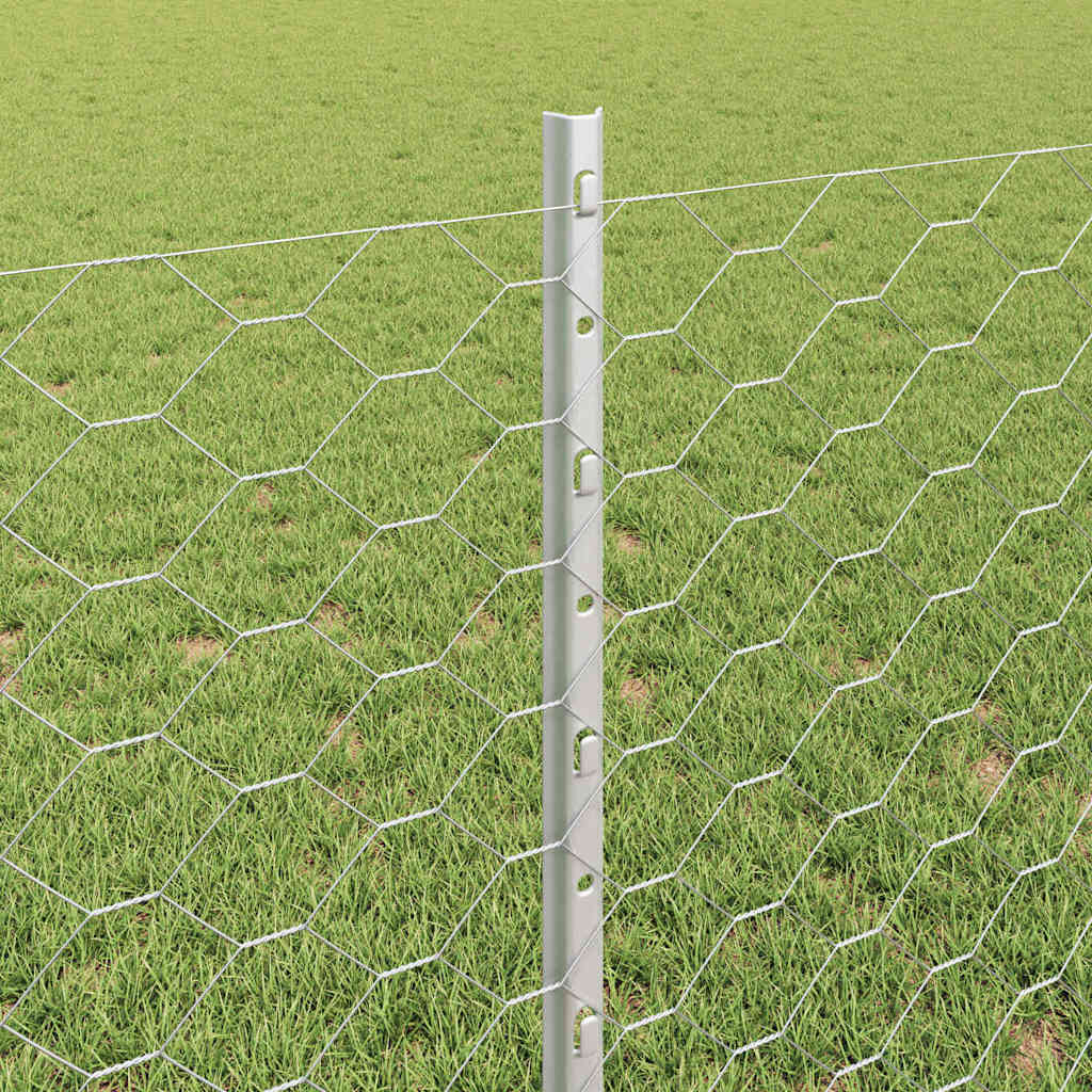 Zavarena žičana ograda 50 x 0,8 m (Š x V) Vruće pocinčani čelik