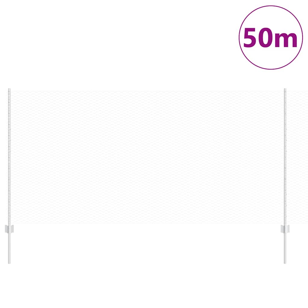 Zavarena žičana ograda 50 x 1,2 m (Š x V) Vruće pocinčani čelik