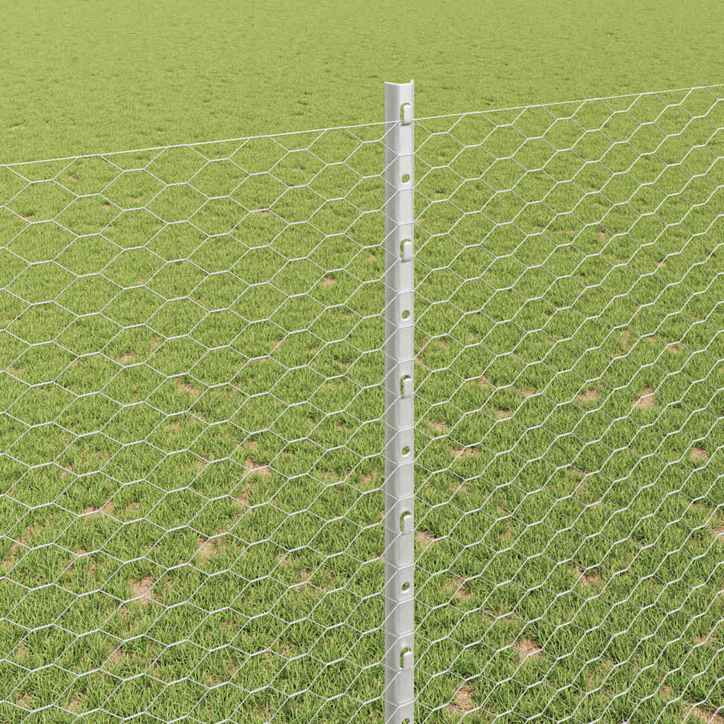 Zavarena žičana ograda 50 x 1,6 m (Š x V) Vruće pocinčani čelik