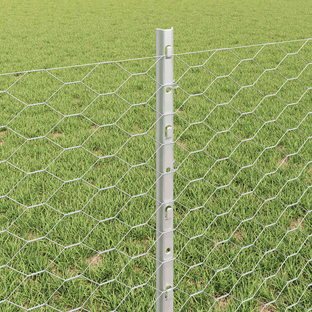 Zavarena žičana ograda 100 x 0,6 m (Š x V)