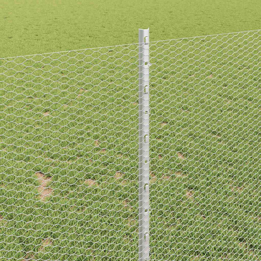 Zavarena žičana ograda 100 x 1 m (Š x V) Vruće pocinčani čelik