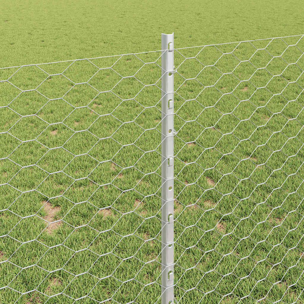 Zavarena žičana ograda 100 x 1 m (Š x V) Vruće pocinčani čelik