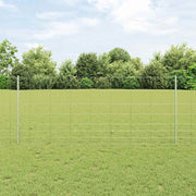 Divlja Ograde s Stupovima 25 x 1 m (Š x V)