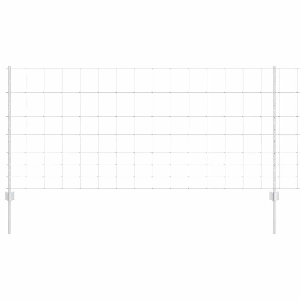 Divlja Ograde s Stupovima 50 x 1 m (Š x V)