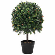 Kugla od Buxusa Zelena 35 x 35 x 50 cm Plastika