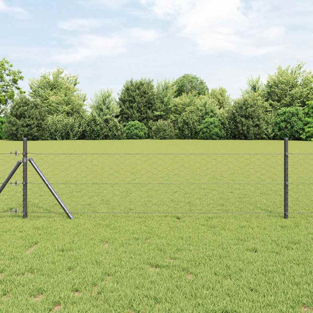 Heksagonalna ograda Siva 1 x 50 m PVC