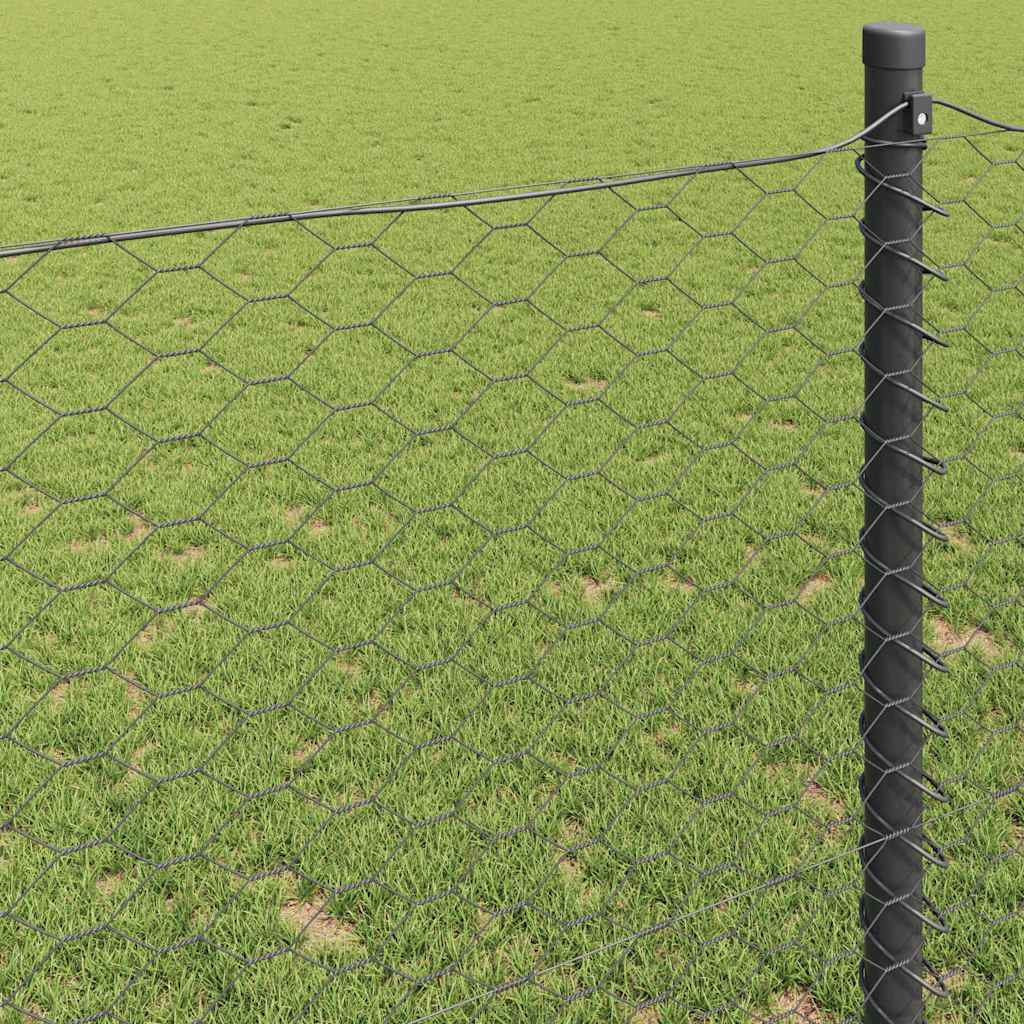 Heksagonalna ograda Siva 0,8 x 100 m PVC