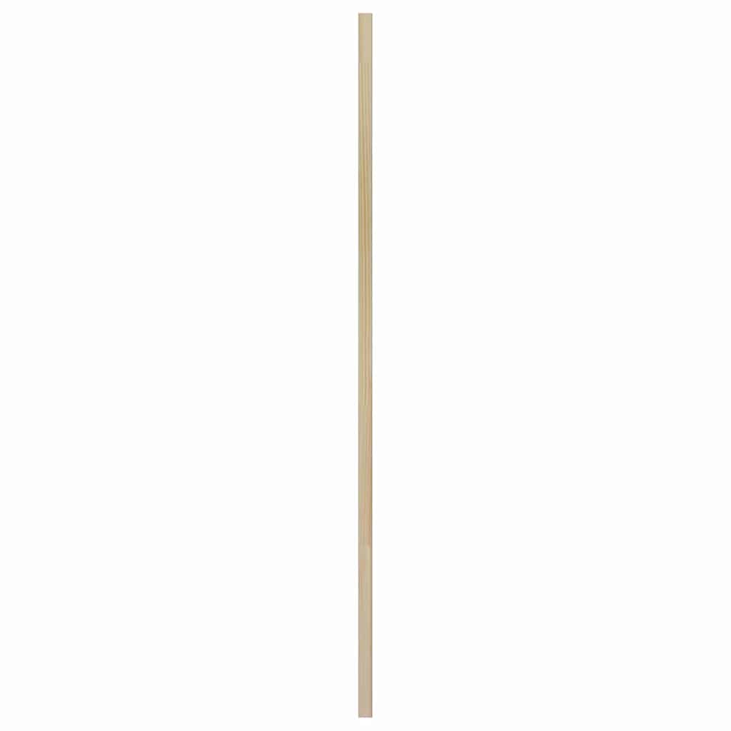 Ormarna vrata s vratima 2 pcs Prirodna 49,5 x 2,1 x 110 cm