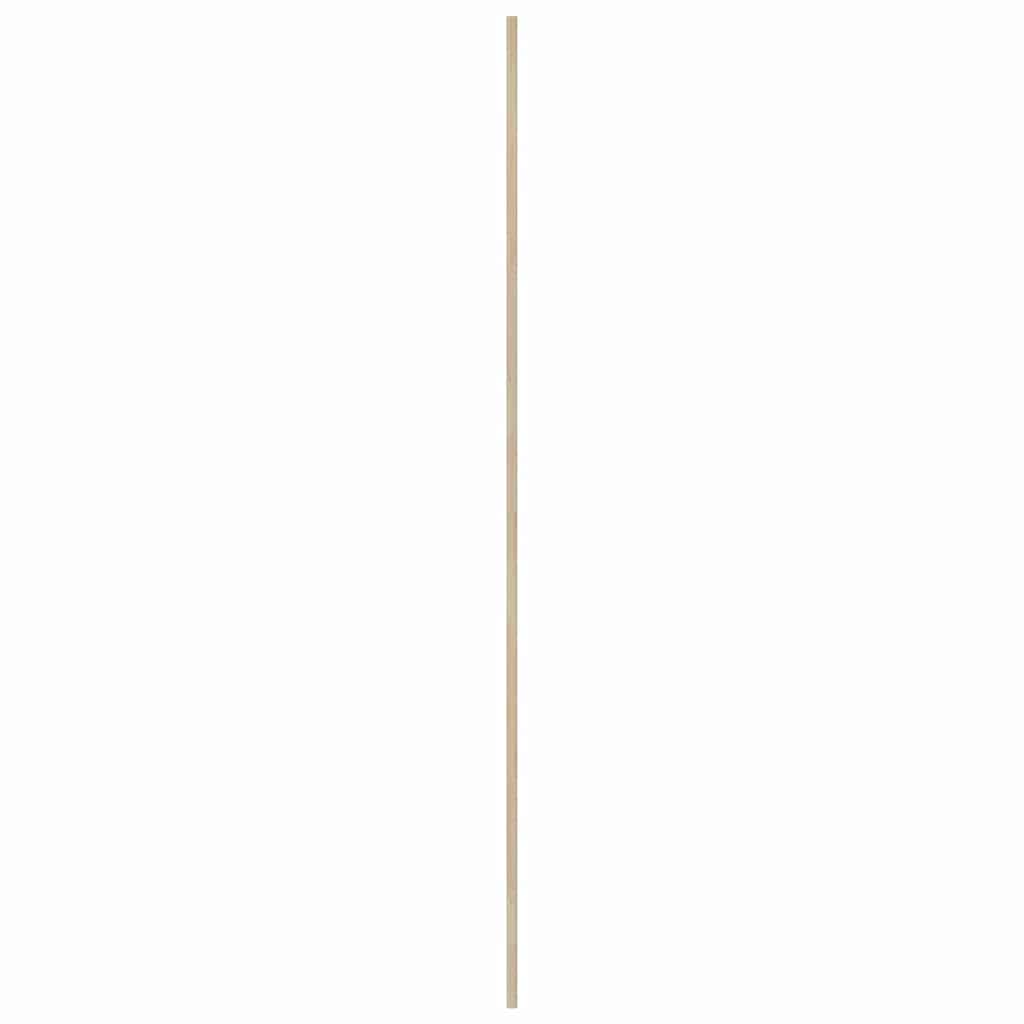 Ormarna vrata Prirodna 201 x 2,1 x 49,5 cm Čvrsto borovo drvo