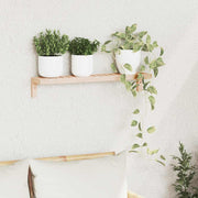 Polica za Ob hanging na Zidu Zidne Prirodna 62 x 10 x 12,5 cm