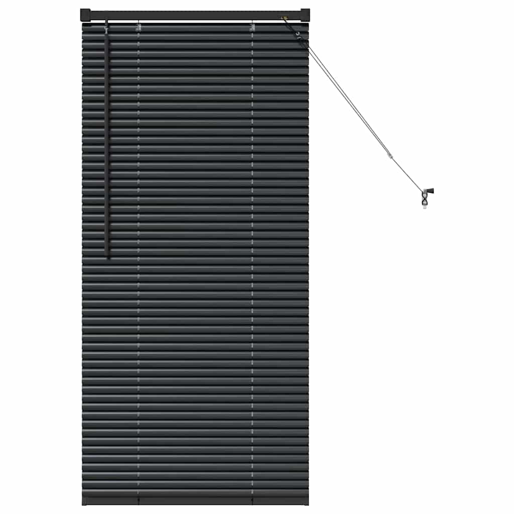 Venecijanski zastore Crna 60 x 2,5 x 130 cm Aluminij