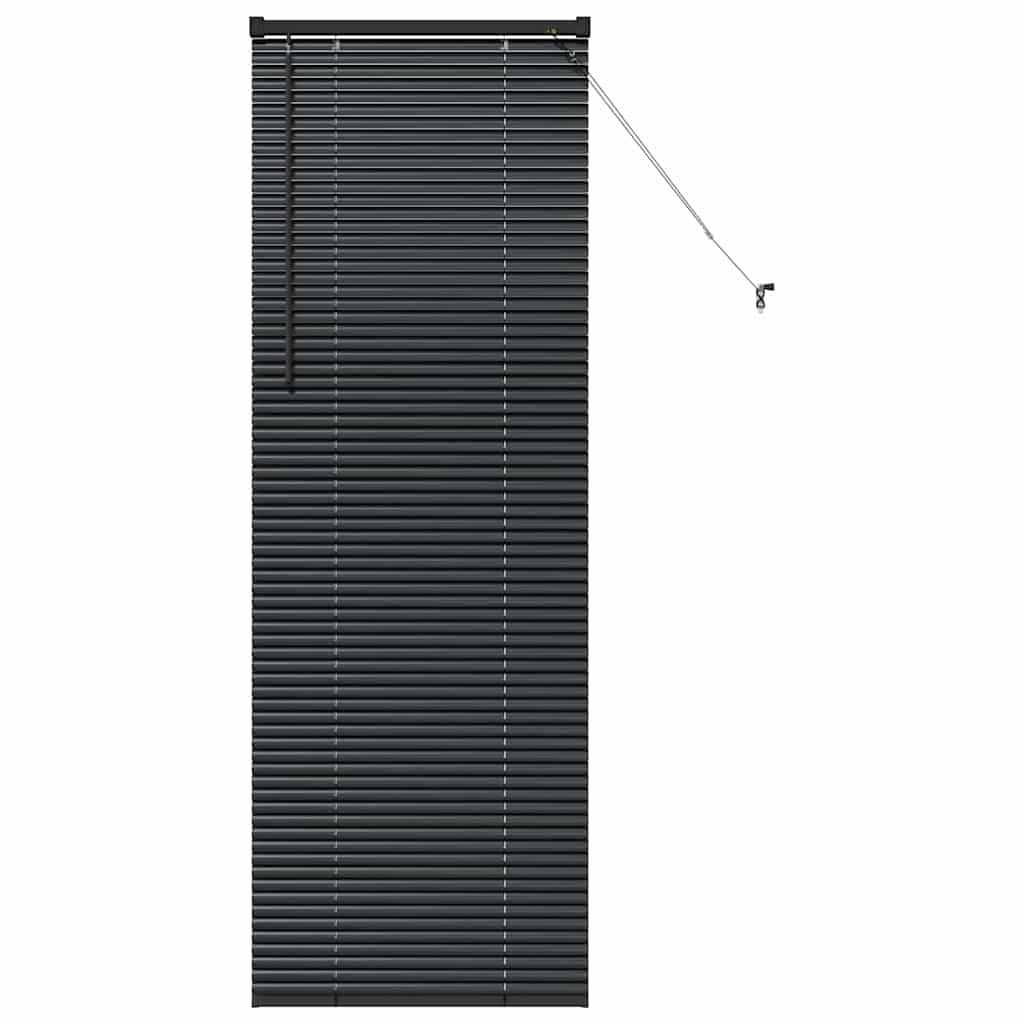 Venecijanski zastore Crna 175 x 55 cm Aluminij