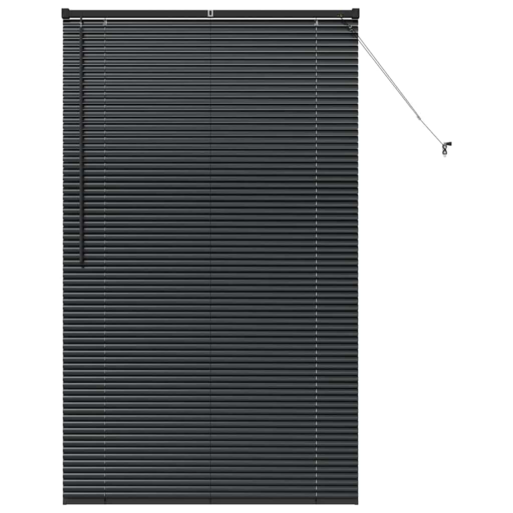 Venecijanski zastore Crna 175 x 100 cm Aluminij