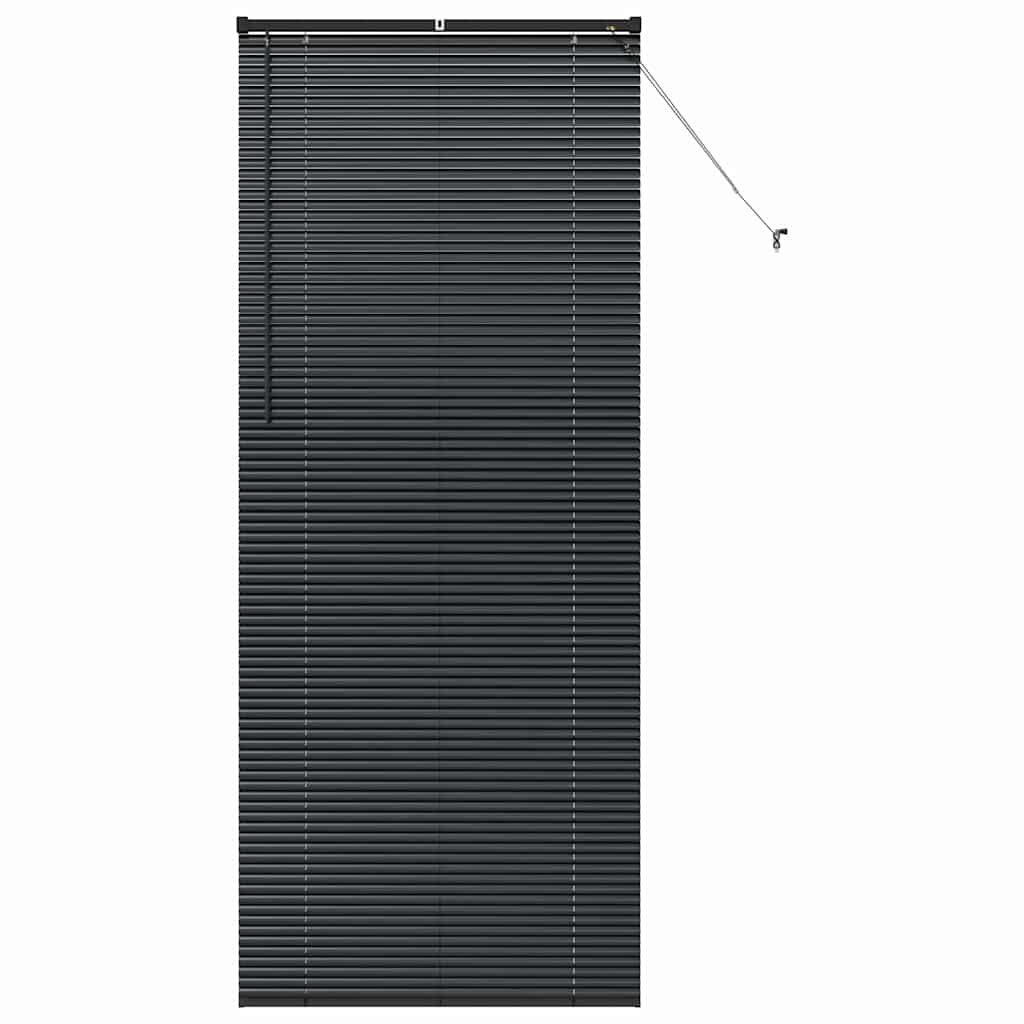 Venecijanski zastore Crna 220 x 95 cm Aluminij