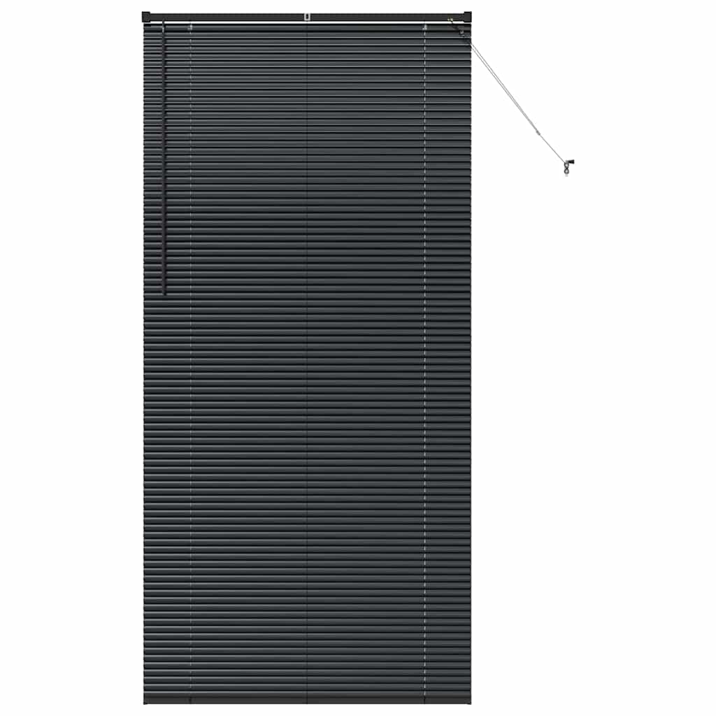 Venecijanski zastore Crna 220 x 100 cm Aluminij