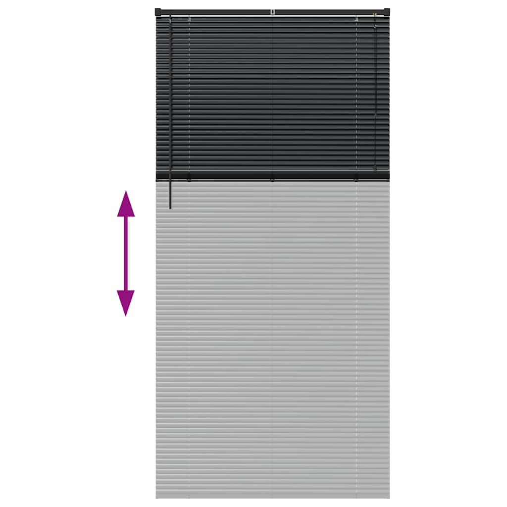 Venecijanski zastore Crna 220 x 100 cm Aluminij