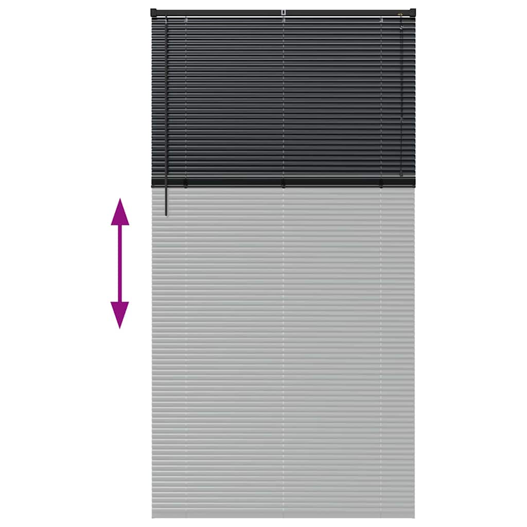 Venecijanski zastore Crna 220 x 115 cm Aluminij