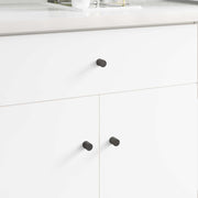 Kabinetski gumb 2 pcs Crna 18 x 23 mm Željezo