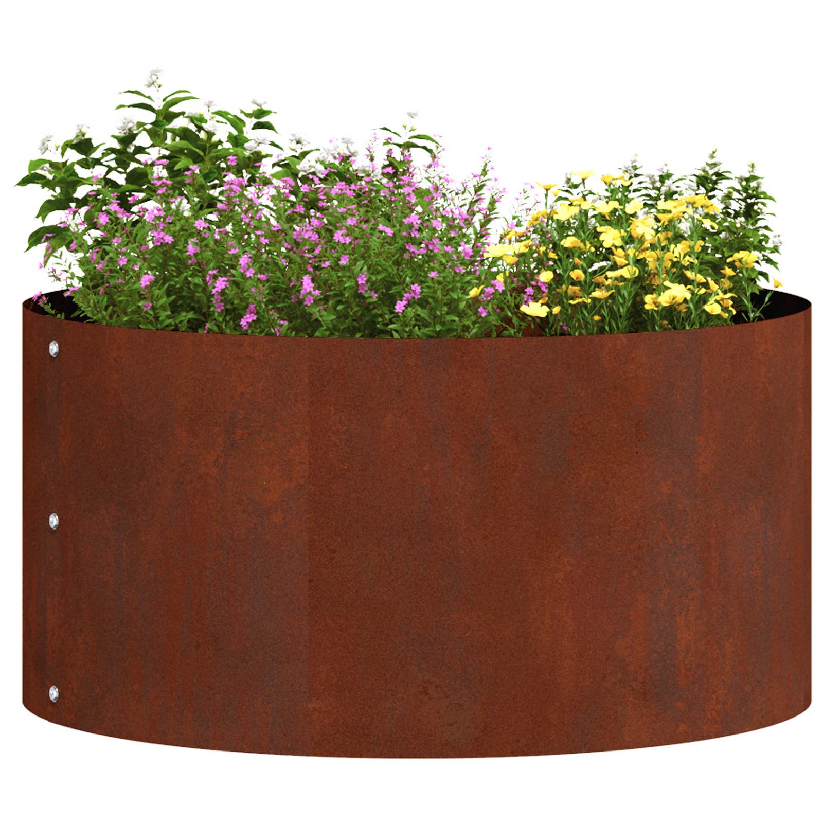Prsten za saksiju 5 pcs Smeđa 40 x 40 x 20 cm