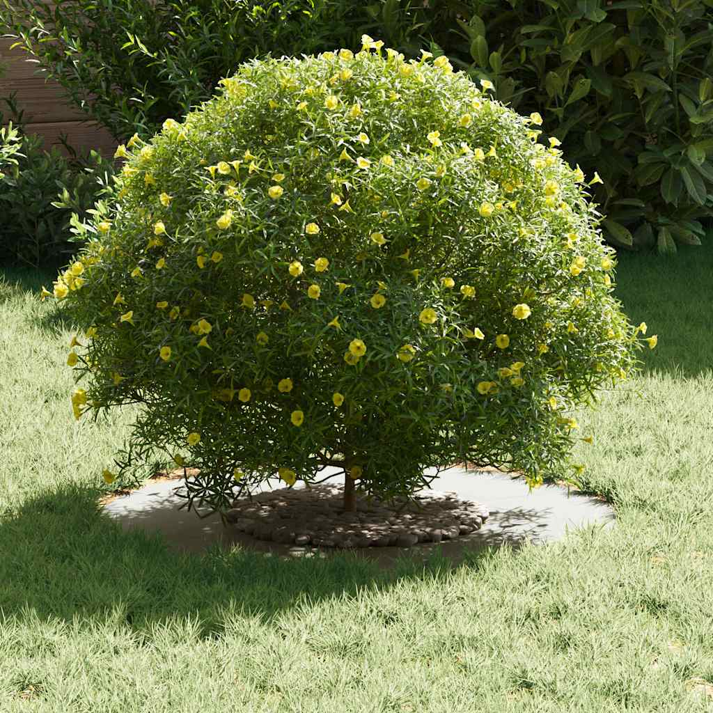 pogodno za ravne drvene prstenove 5 pcs Bijelo Ø30 / 60 cm Čelik