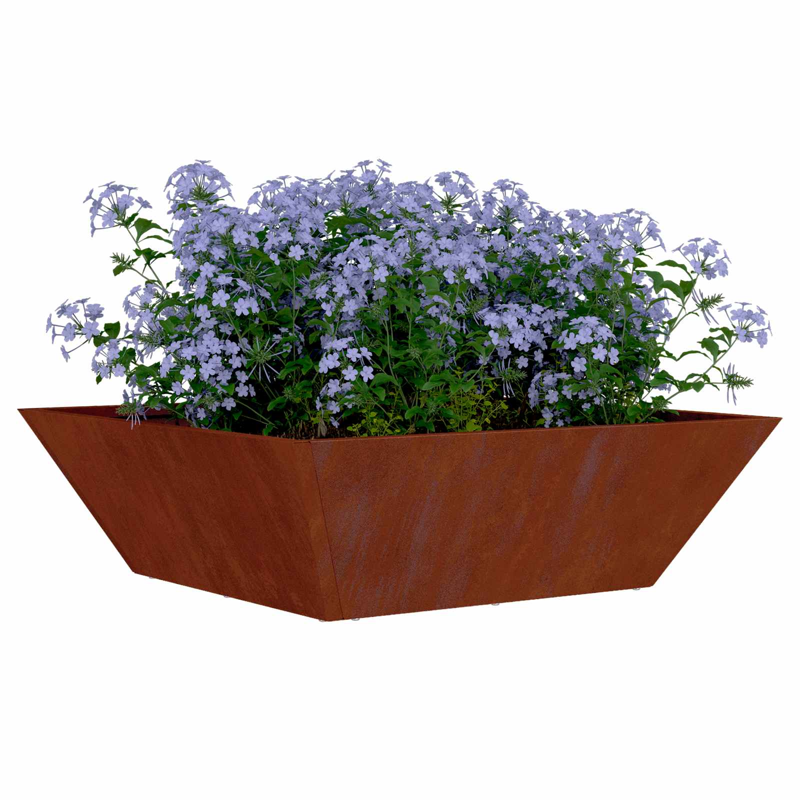 Vrtna saksija 5 pcs Rđa 50 x 50 x 15 cm