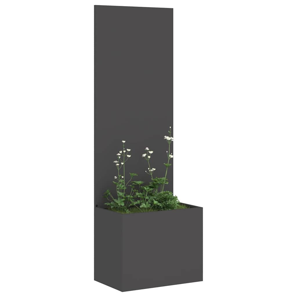 Privatnost u vrtu Crna 50 x 150 cm Hladno valjana čelična