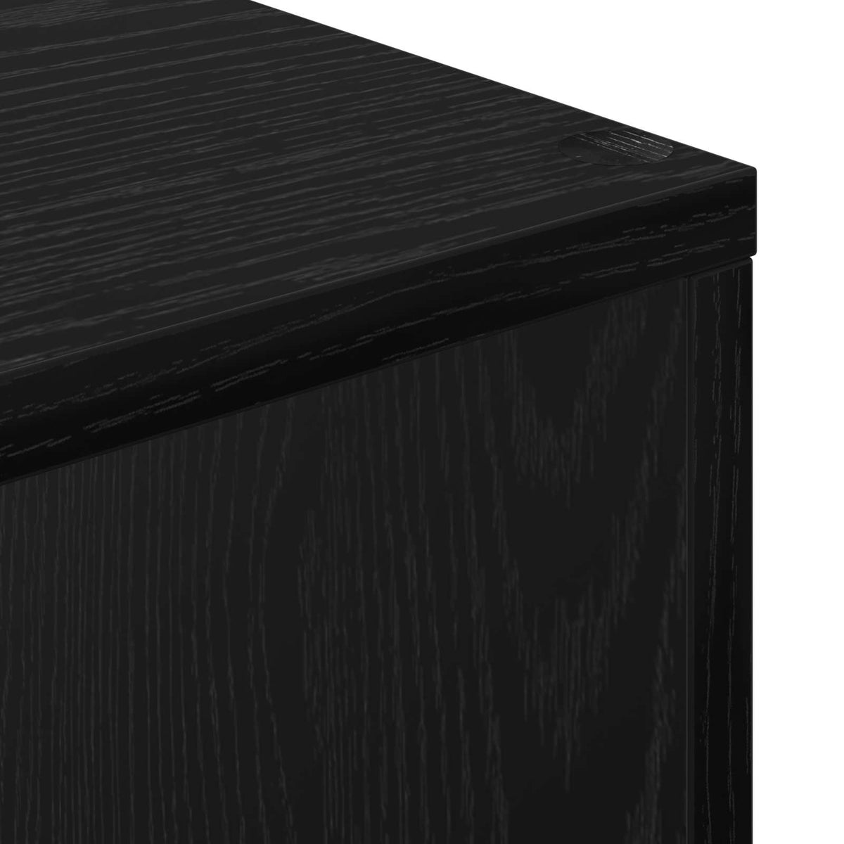 Prekidač za sobu Knjiga Crni hrast 99 x 29 x 99 cm