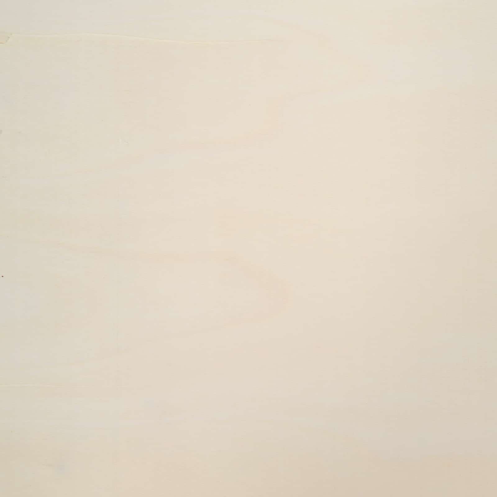 Ormar za izlaganje na zidu s policom Zidne Bež 50 x 4,5 x 96 cm