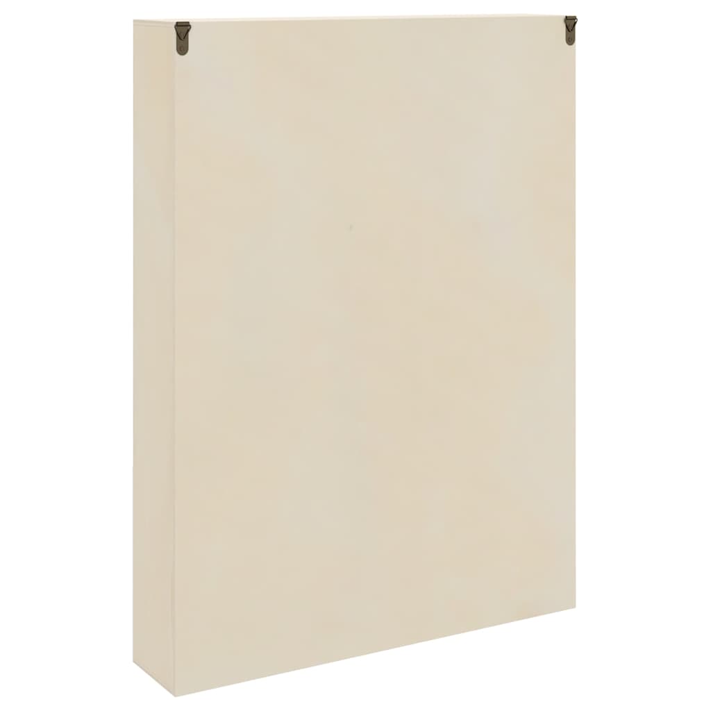 Ormar za izlaganje na zidu Zidne Bež 40 x 8,5 x 54 cm Šperploča