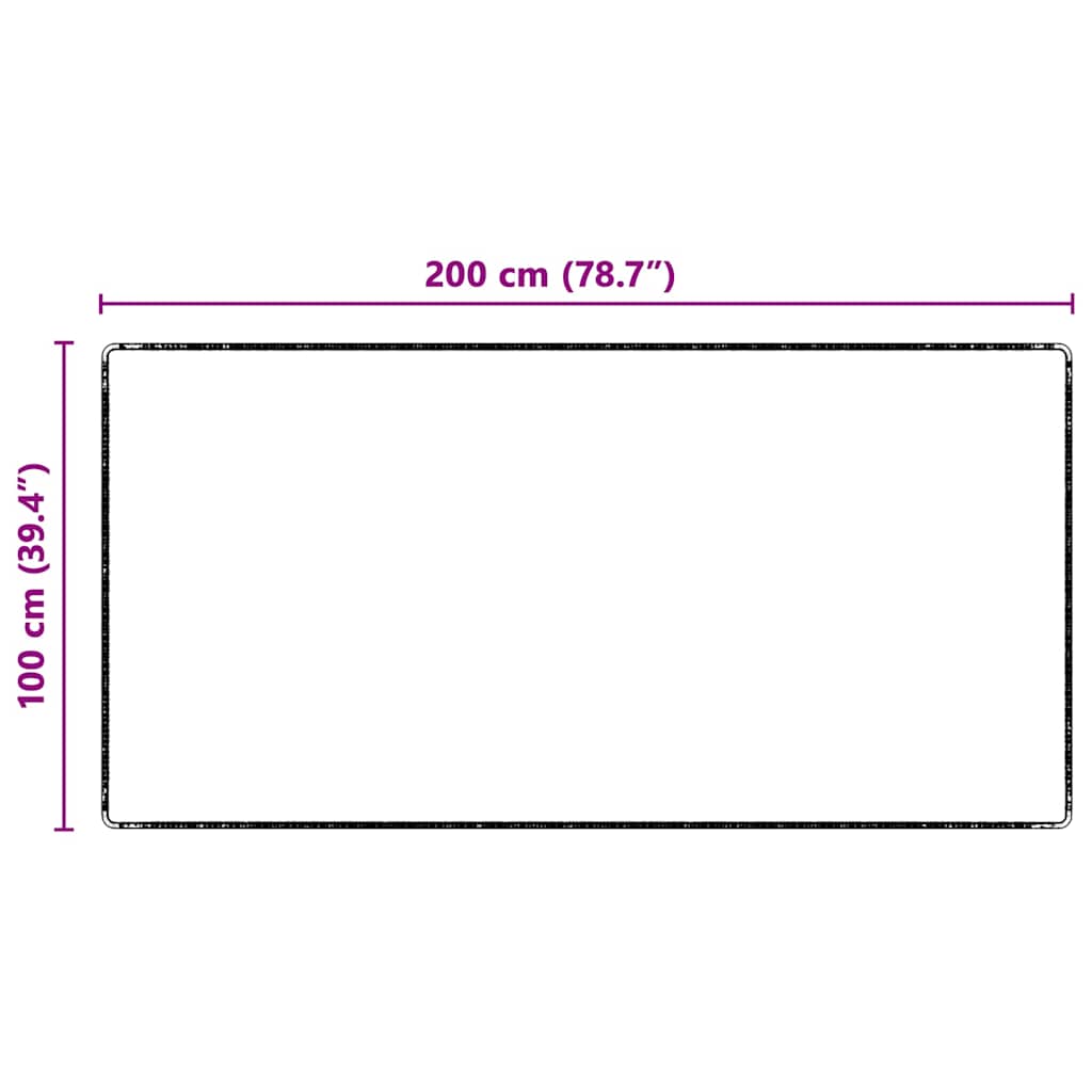 Tepih trkač Antracit 100 x 200 cm 100% Polipropilen