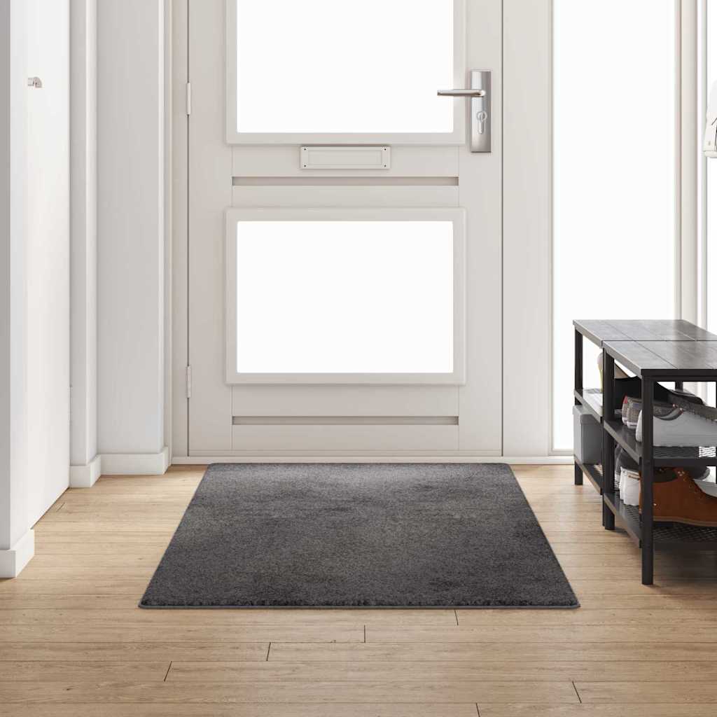Tepih trkač Siva 100 x 250 cm 100% Polipropilen Tuft