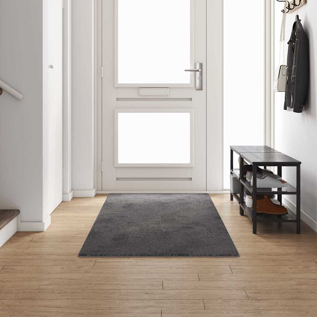 Tepih trkač Siva 100 x 300 cm 100% Polipropilen Tuft