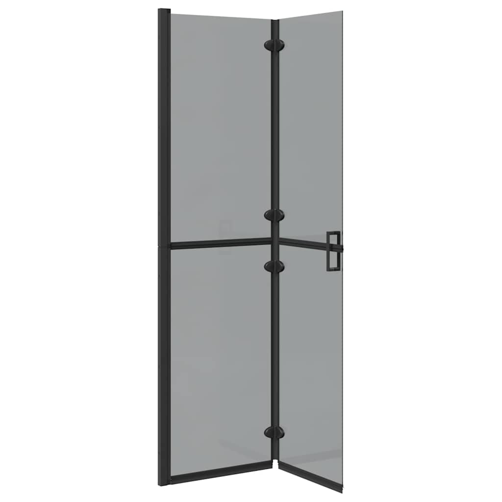 Walk-In zid za tuširanje Crna 100 x 6,5 x 190 cm